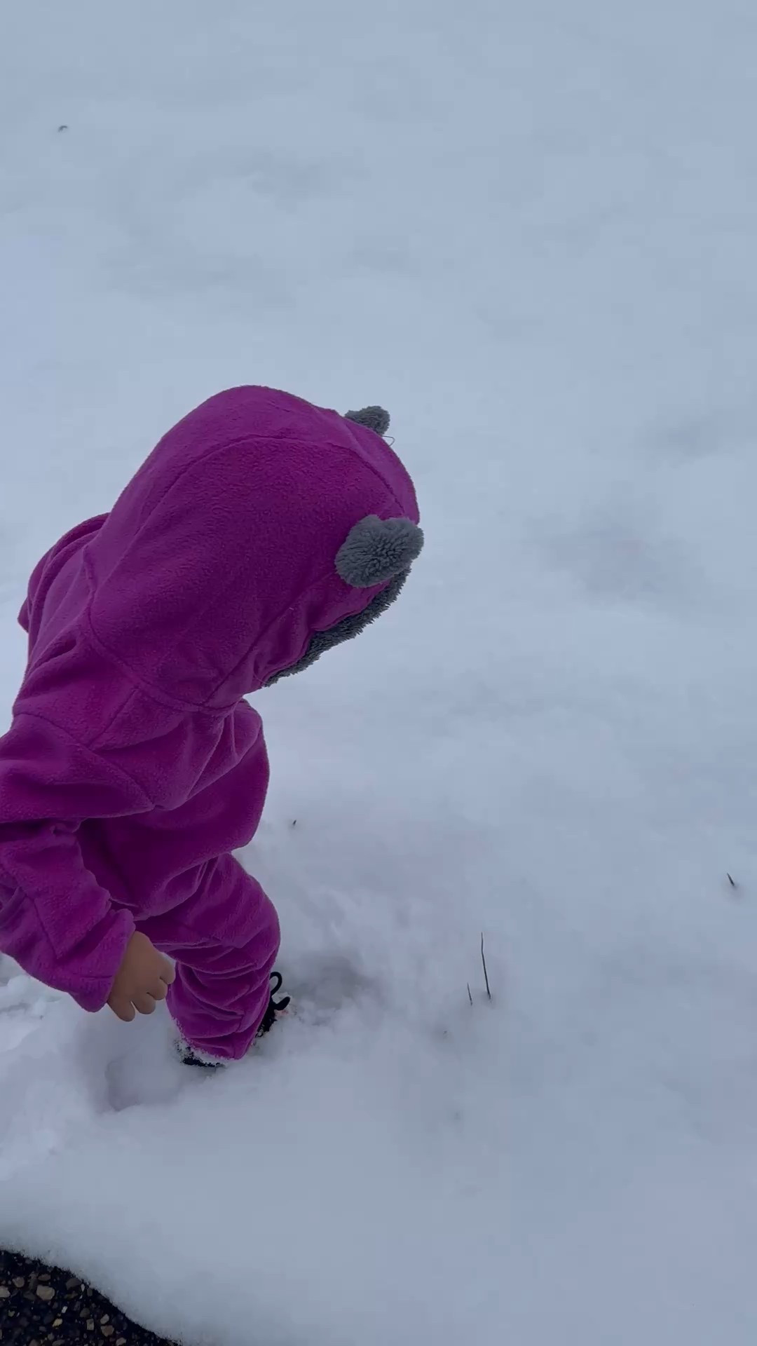 Snowsuit | fleece suit | cold weather outfit | toddler outfit | toddler suit 

#LTKKids #LTKBump #LTKBaby