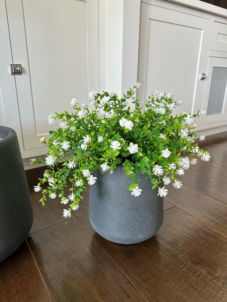 The cutest faux plant and planter - super affordable and easy way to spruce up your home or patio! 

Sale alert | home decor 

#LTKSaleAlert #LTKSeasonal #LTKHome
