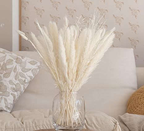 Niliro's Natural Dried Pampas Grass Decor Bouquet - 50 pcs/17in Tall Pampas Grass Small & Collect... | Amazon (US)