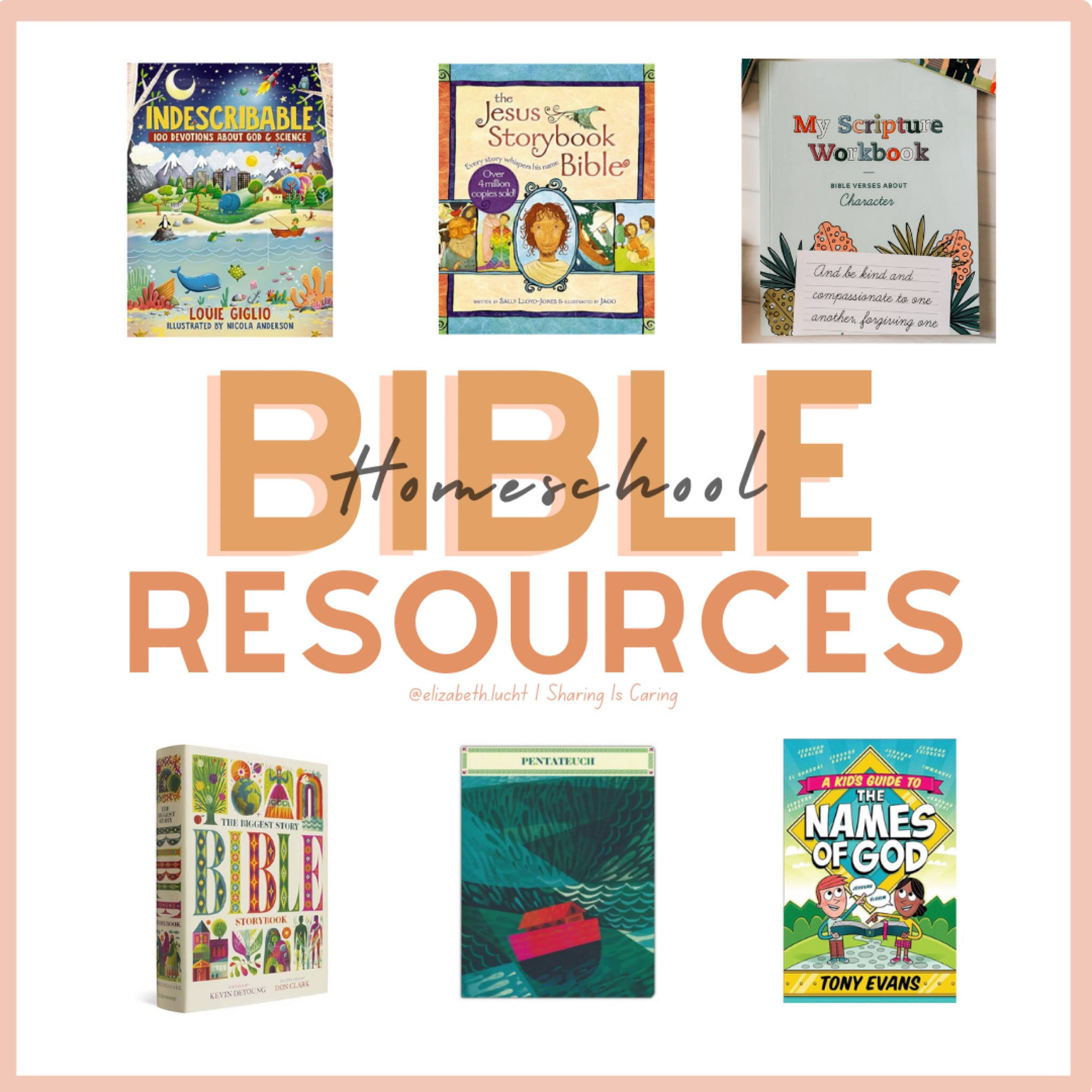 These are the main books I rotated through for devotionals and bible lessons in homeschooling the last two years for my 6 and 8-year-old. 

#LTKkids #LTKfindsunder50