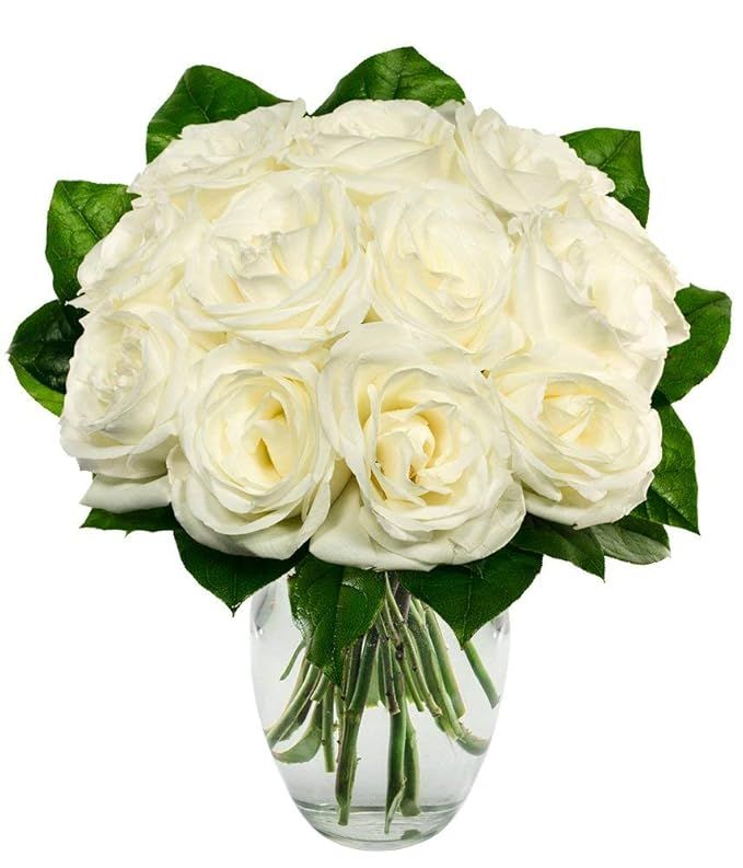 Flowers - One Dozen White Roses (Free Vase Included) | Amazon (US)