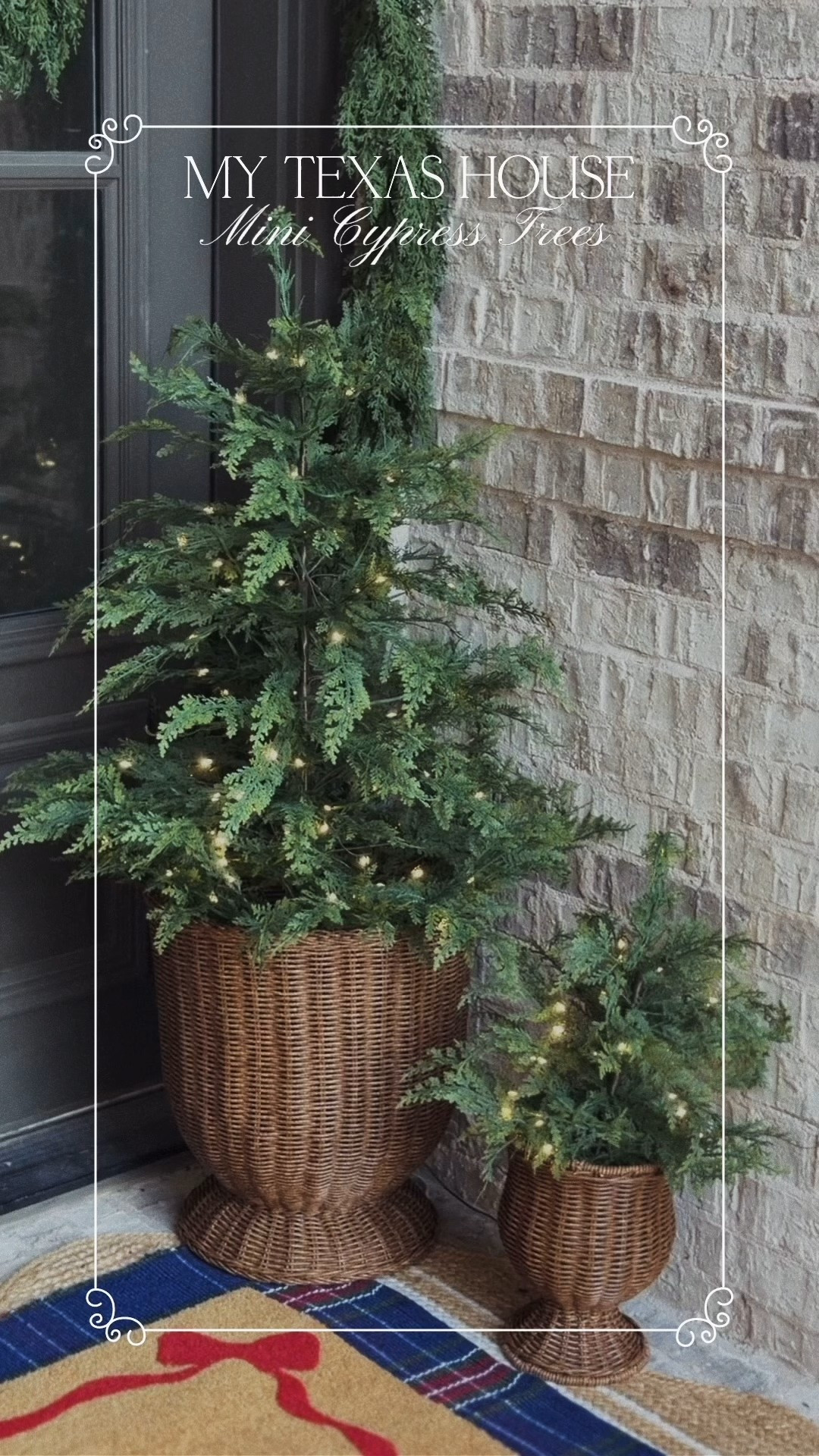 Our gorgeous twinkling cypress trees. These rattan planters are actually from my collection coming early next year.

#LTKSeasonal #LTKHome