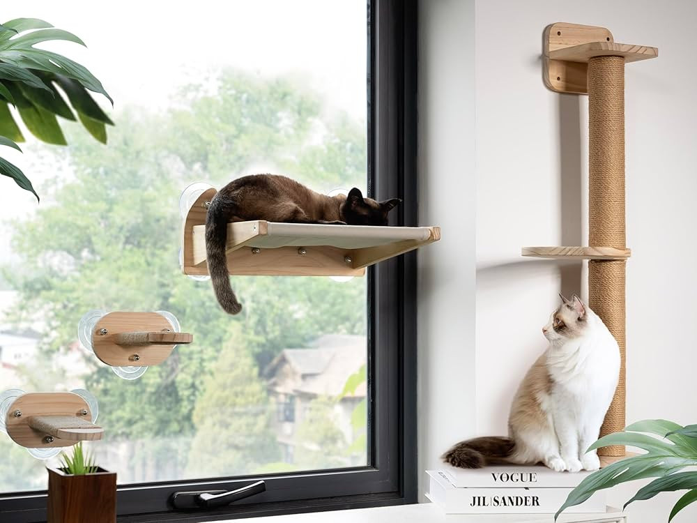 Cat Window Perch and Cat Wall Shelves 2 in 1,Cat Hammock,Steps and 3 Layers Large Cat Perch Bed f... | Amazon (US)
