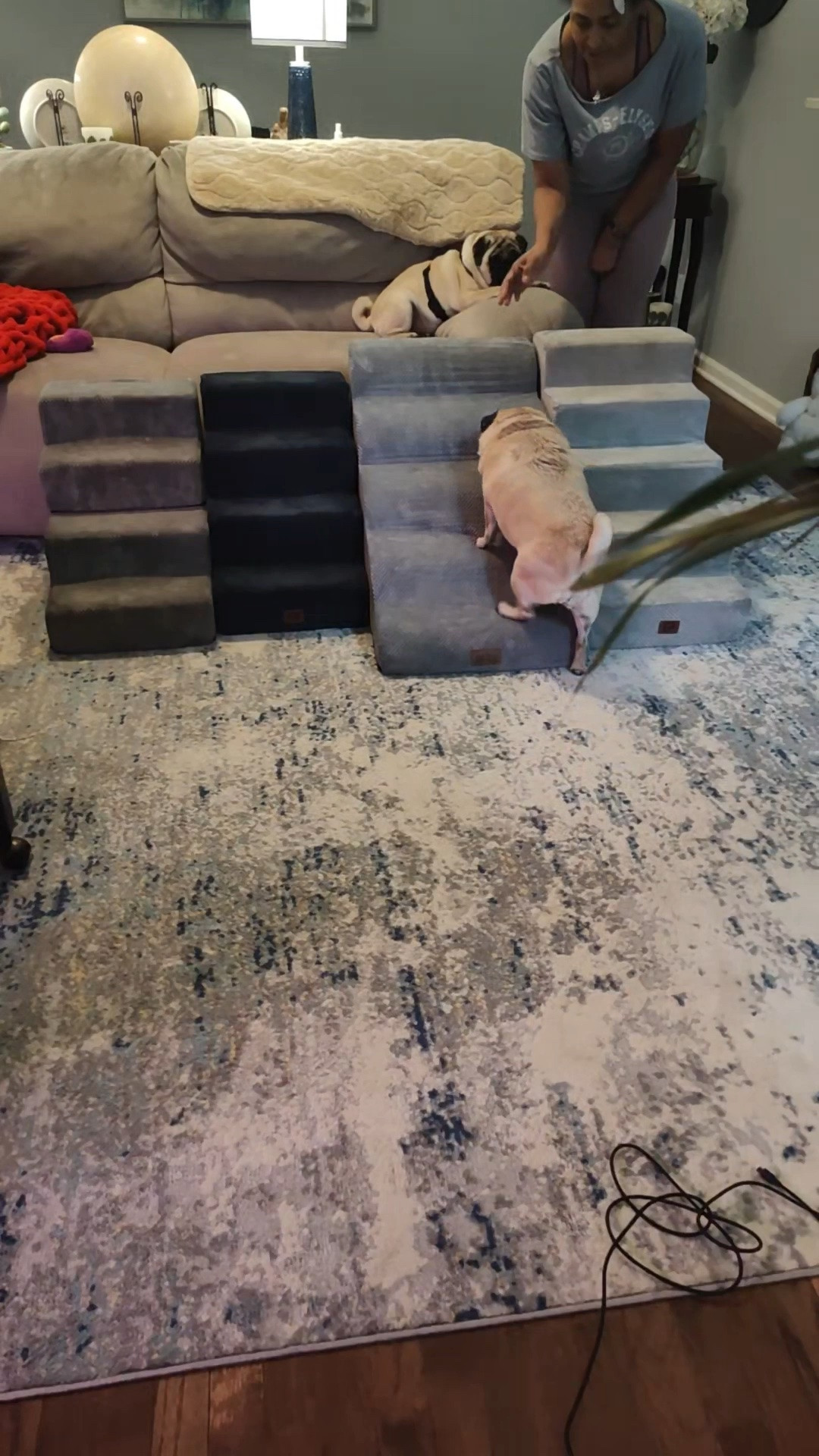 Why I have multiple dog stairs and which style is best for you small dog.  Raw and edited only for time.  Dog parent to dog parent.

https://www.amazon.com/dp/B0DLN7Z1HV?ref=t_ac_view_request_product_image&campaignId=amzn1.campaign.1Q22Z27GNK2B&linkCode=tr1&tag=chandrareddin-20&linkId=amzn1.campaign.1Q22Z27GNK2B_1778046375335

#LTKMothersDay #LTKdayinmylife #LTKHome