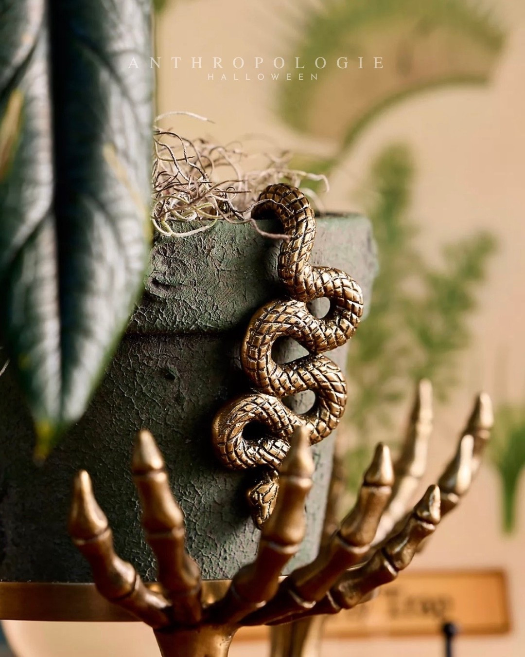 Super cute brass snake pot hanger 

Anthropologie Halloween
Halloween decor

#LTKHome
