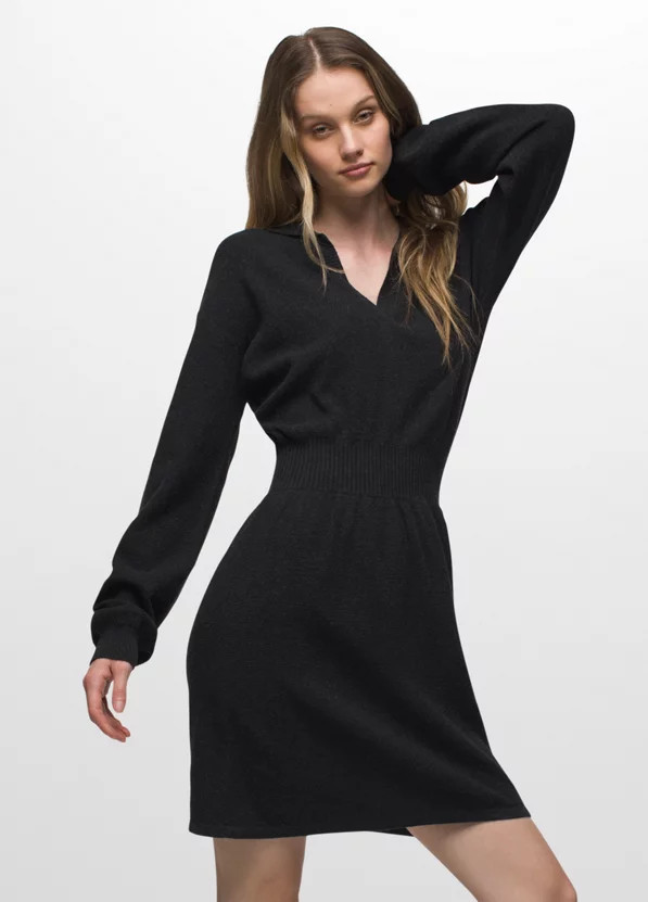Milani V-Neck Dress | prAna
