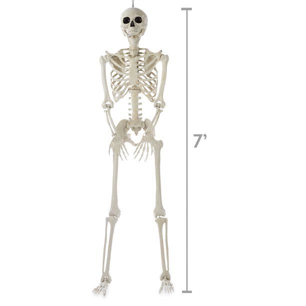 Way to Celebrate Realistic Posable Titan Skeleton, 84 inch - Walmart.com | Walmart (US)