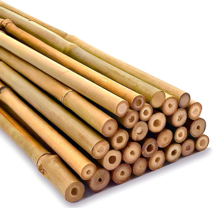 Strong Heavy Duty Professional Bamboo Canes for Plant Support - Multiple Lengths 2ft - 8ft Garden... | Amazon (UK)