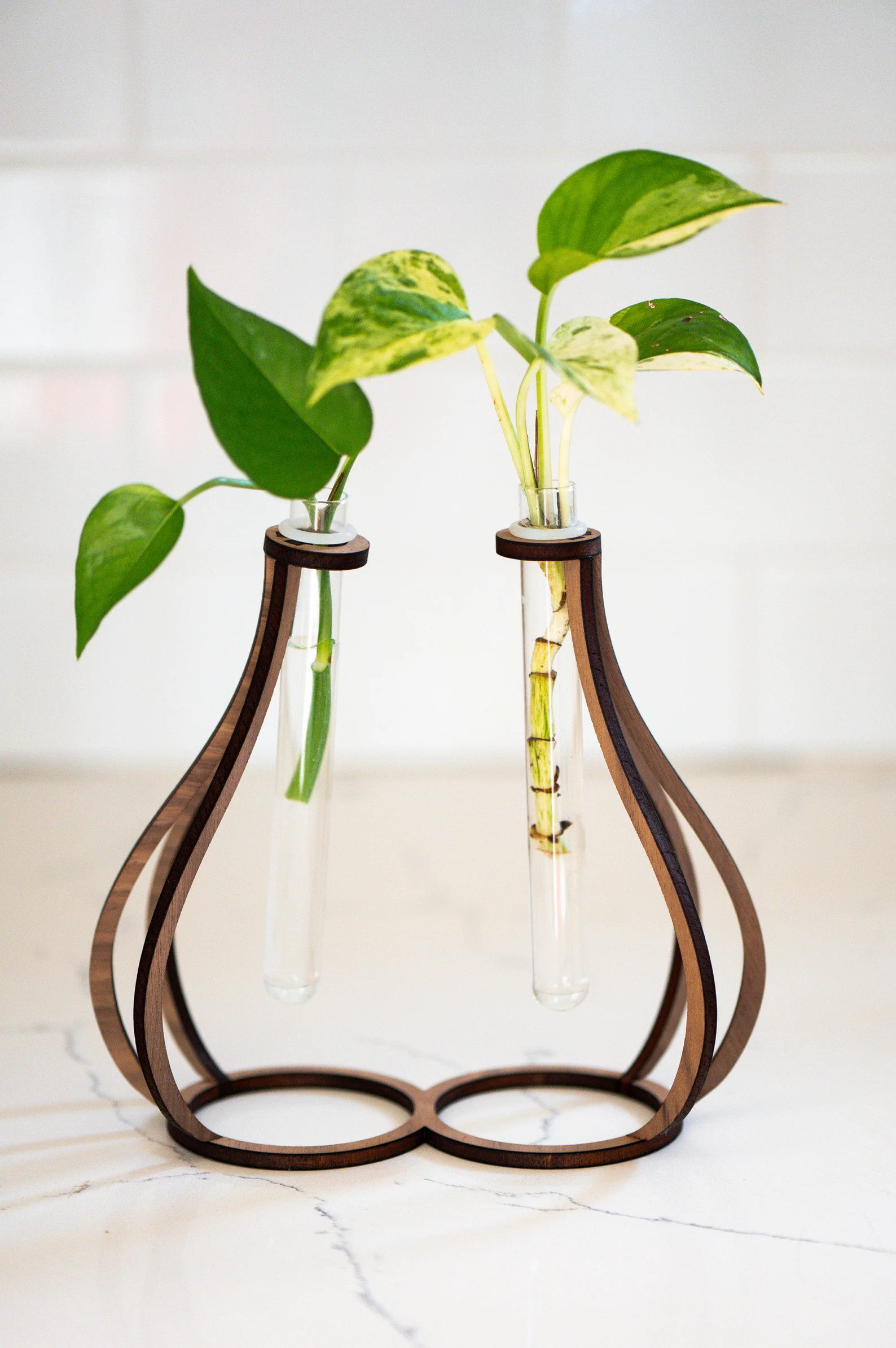 KIT: Minimalist Propagation Test Tube Station Kit, Wood Propagation Station, Desktop Propagation ... | Etsy (US)