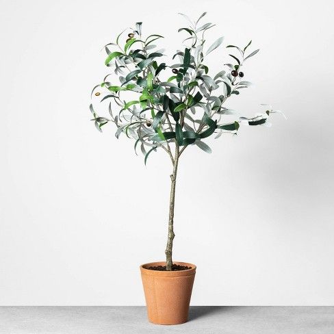 Faux Olive Branch Plant - Hearth & Hand™ with Magnolia | Target