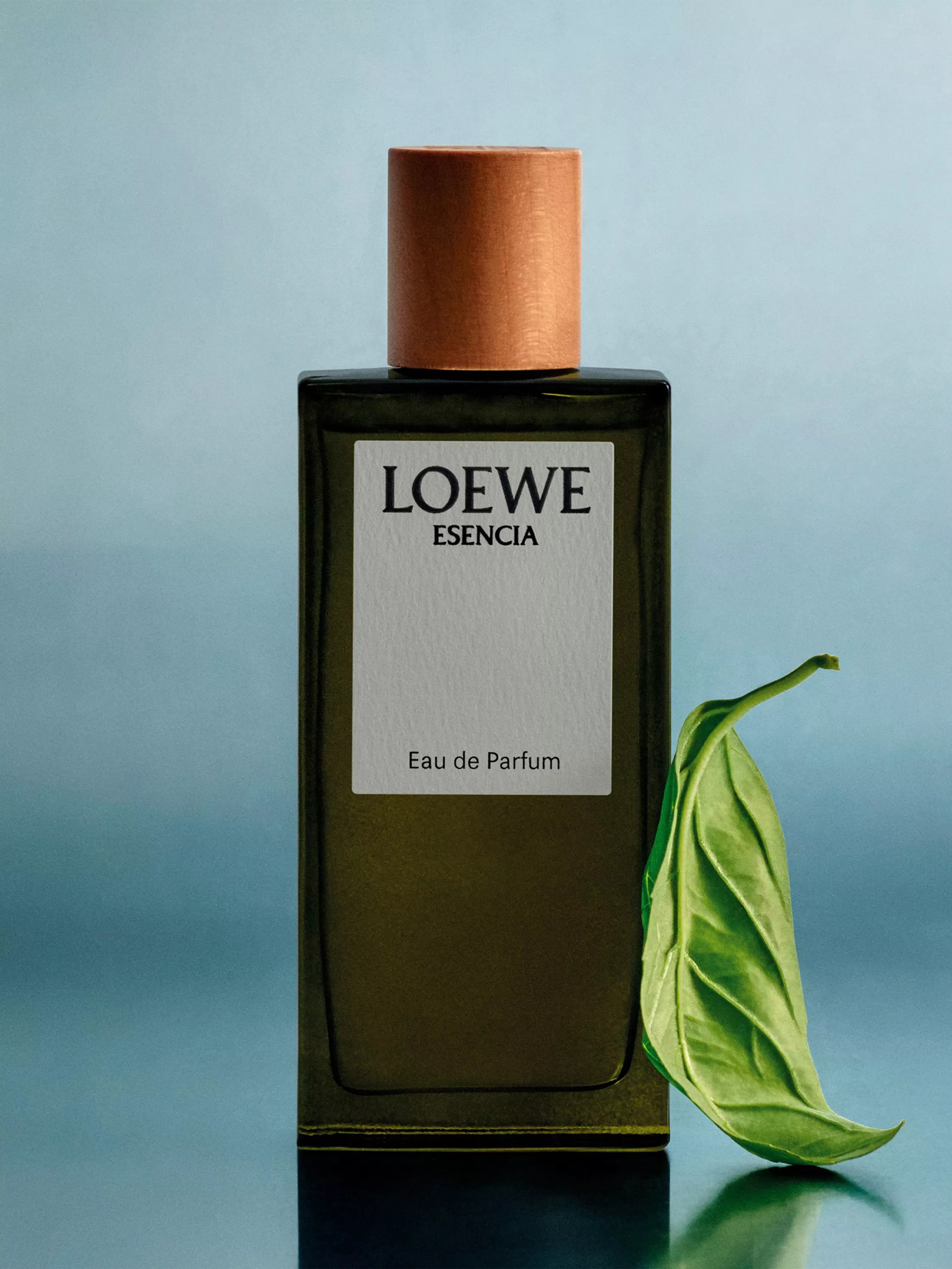 LOEWE Esencia Eau de Parfum Pour Homme | John Lewis (UK)