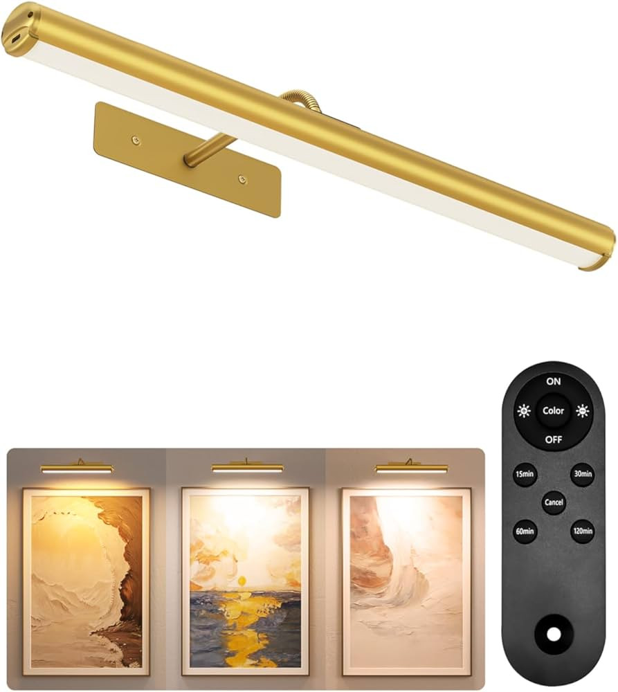 EZVALO Picture Lights for Wall, 6000mAh Rechargeable Battery 16″ Painting Light with Remote, 3 ... | Amazon (US)