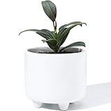 POTEY 051701 Plant Pot with Drainage Hole - 5.3 Inch Glazed Ceramic Modern Planters Indoor Bonsai Co | Amazon (US)
