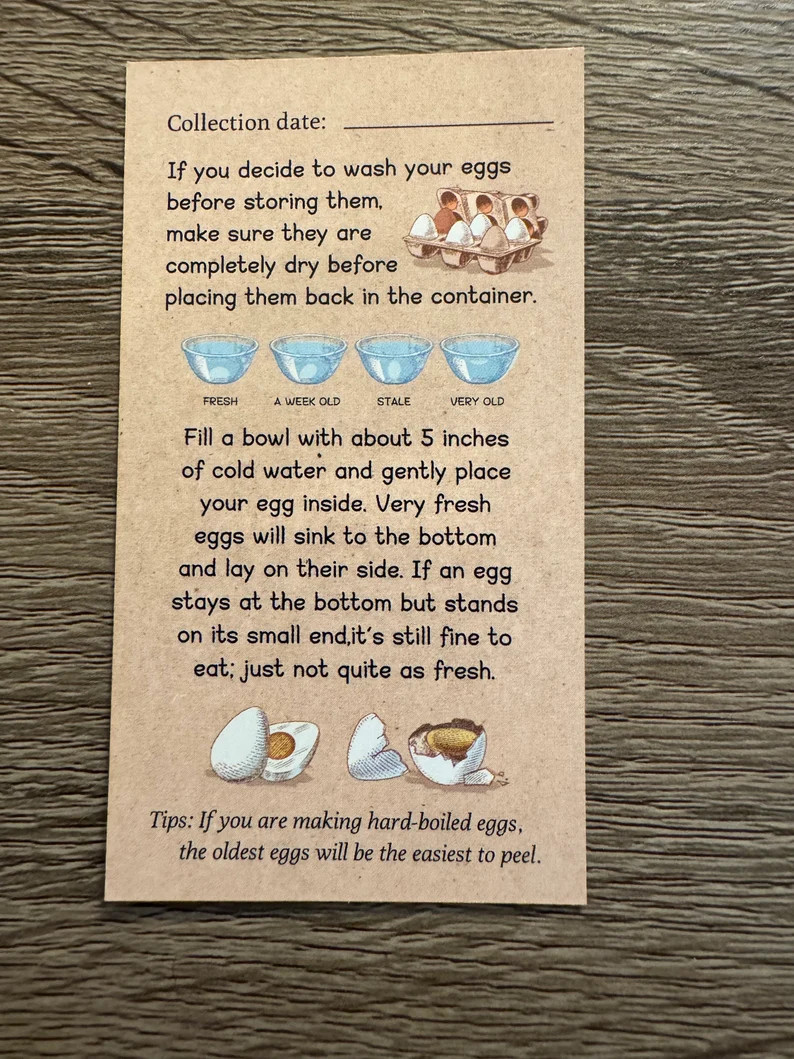 Egg handling instruction card qty 25 | Etsy (US)