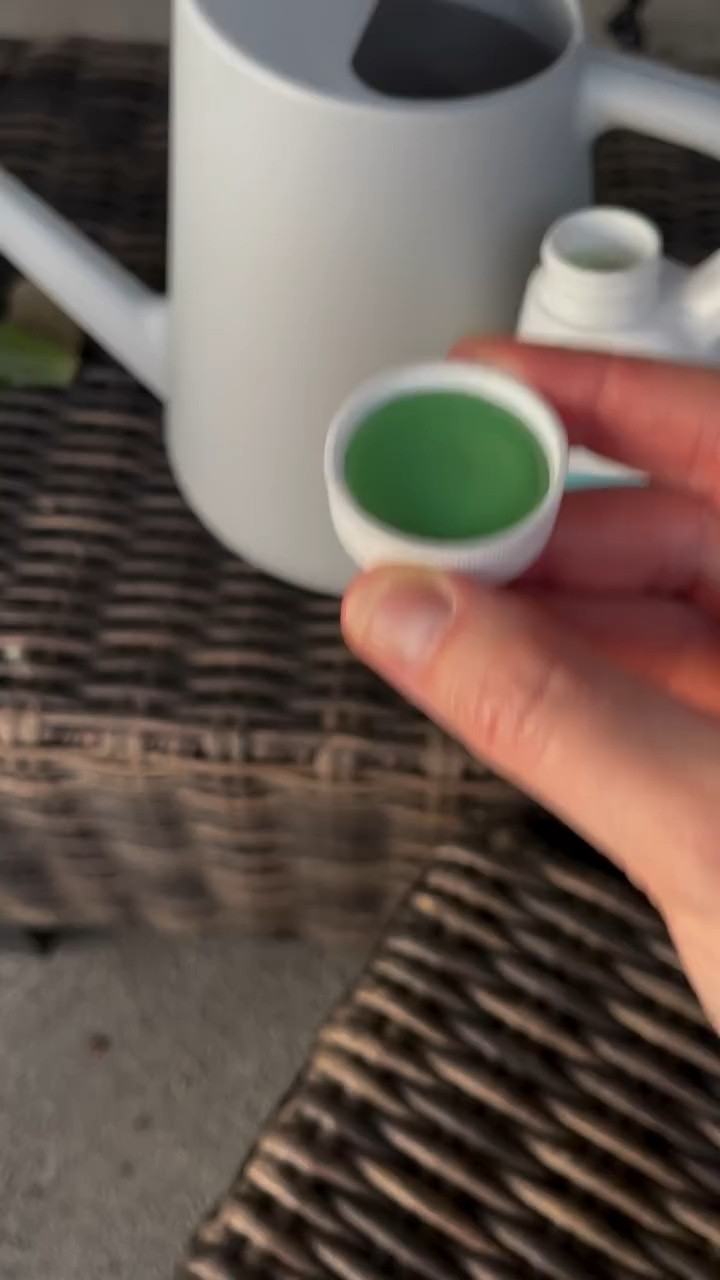 Think you don’t have a green thumb? Fertilizer might be the missing ingredient. If you’re only watering your plants and providing light but skipping the fertilizer, you might be setting yourself up for disappointment. Adding this “secret sauce” can make all the difference, bringing you one step closer to mastering the art of plant care.

#ilovehoyas #hoyacollector #hoyahead #hoyaappreciation #hoyacollection #plantsmakemehappy #ihavethisthingwithplants #easilydistractedbyplants #hoyasaremyjam #hoyacollection #hoyaheaven #hoyamylove #hoya #hoyalover #hoyasofinstagram #thehoyacollective #houseofhoya #houseplantclub #hoyafanatic #plantstagram #plantoftheday #plantsmakepeoplehappy #hoyacaretips #plantcare #planttips #fertilizer #themoreyouknow #plantsinmyhome #plantsinmyspace #tropicalplants

#LTKHome