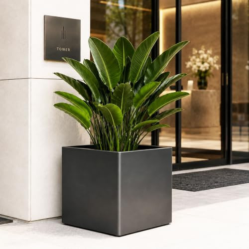 26" x 26" x 26" Large Square Metal Tree Planter Box,Black Iron Cube Planter | Amazon (US)
