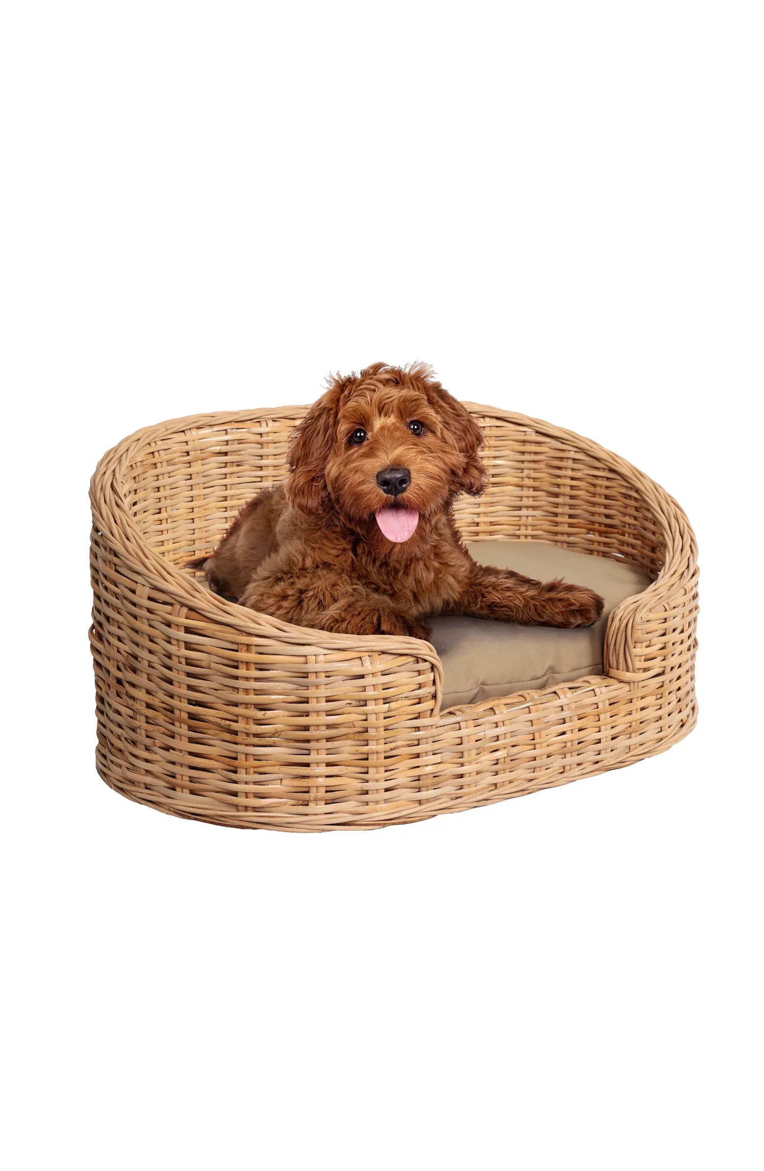 Curvy Classic Handwoven Rattan Pet Bed with Machine-Washable Cushion | Nordstrom