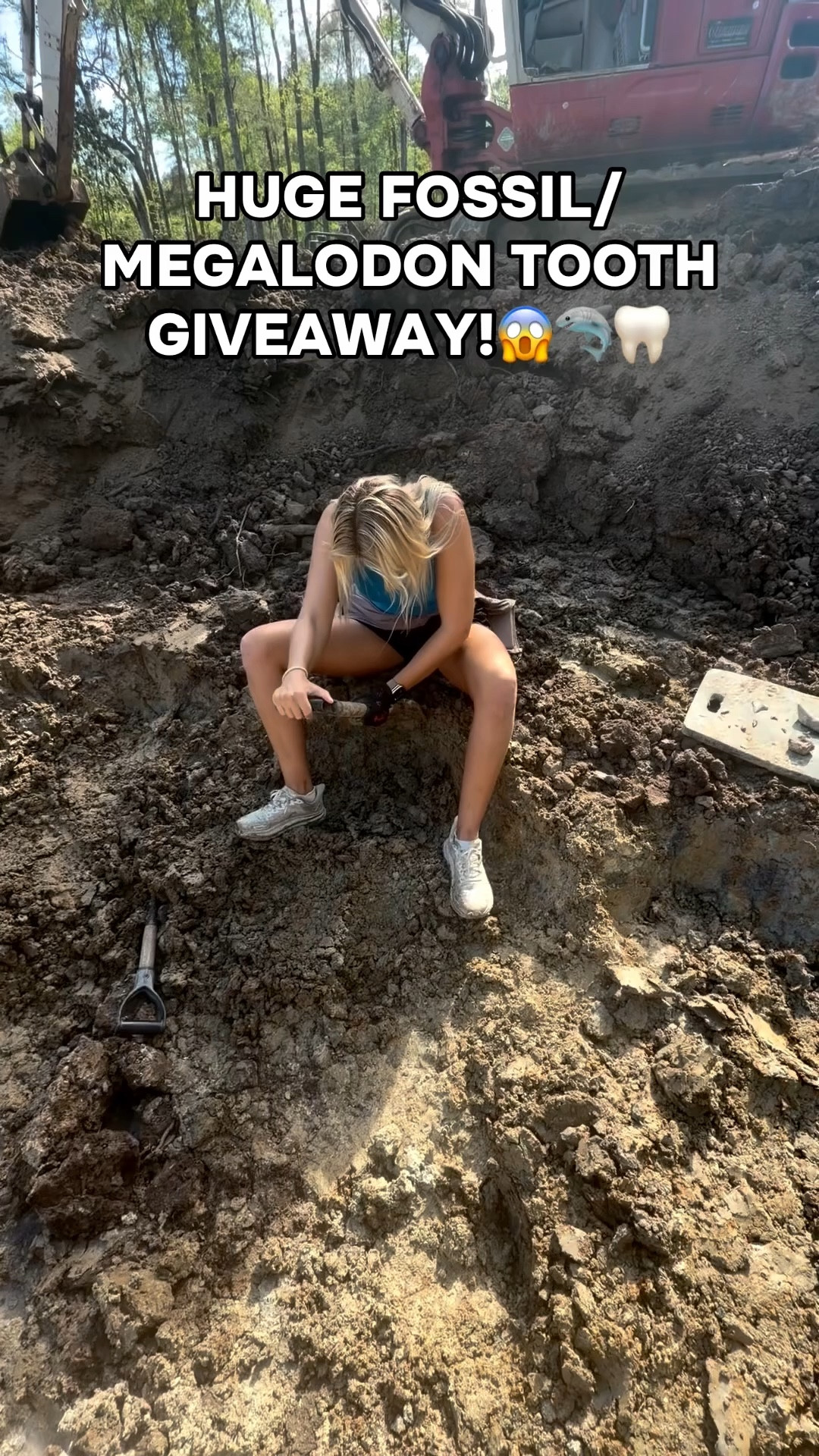 MEGALODON TEETH GIVEAWAY!!😱🦈🦷 (& other shark teeth & fossils)

Enter on Insta& TikTok !

#LTKTravel #LTKdayinmylife #LTKstorytime
