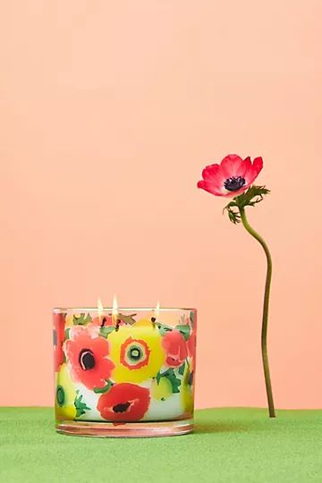 Sarah Campbell Indoor/Outdoor Candle | Anthropologie (US)