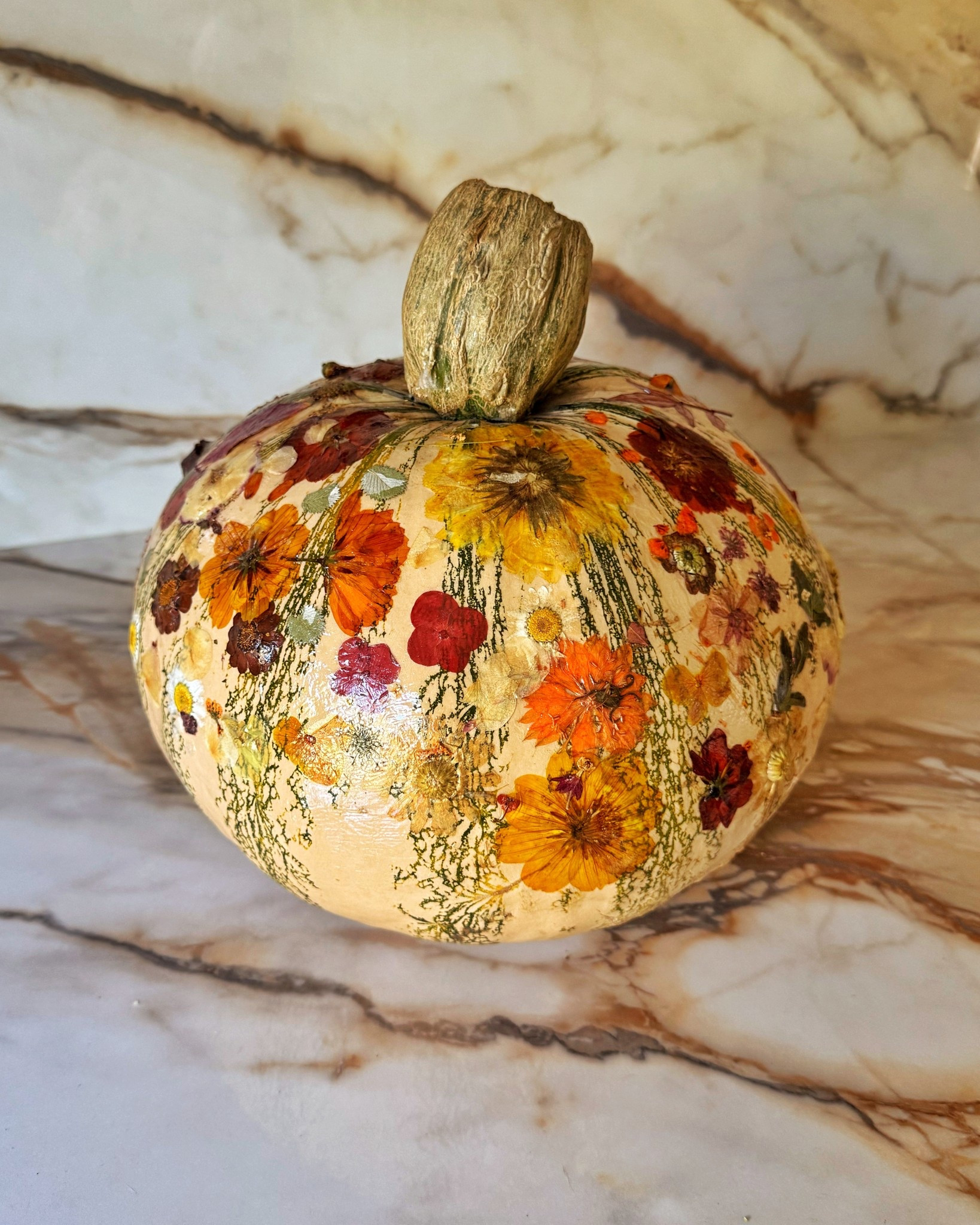 Really happy with my little decoupaged pumpkin this year. Ordered the prettiest pressed flowers from Amazon #DIY

#LTKHalloween