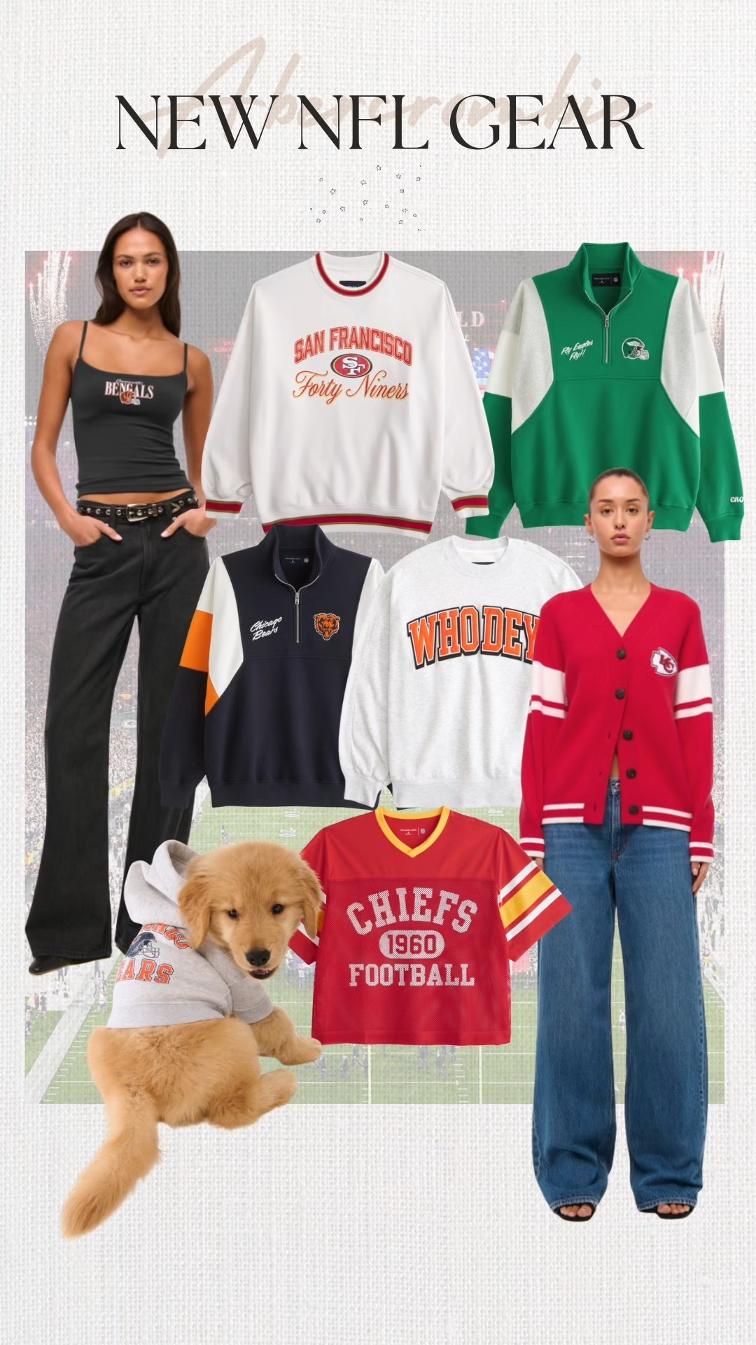 Abercrombie NFL gear is back in stock and selling fast!!! The dog hoodies are you kidding me?! #meandmrjones 