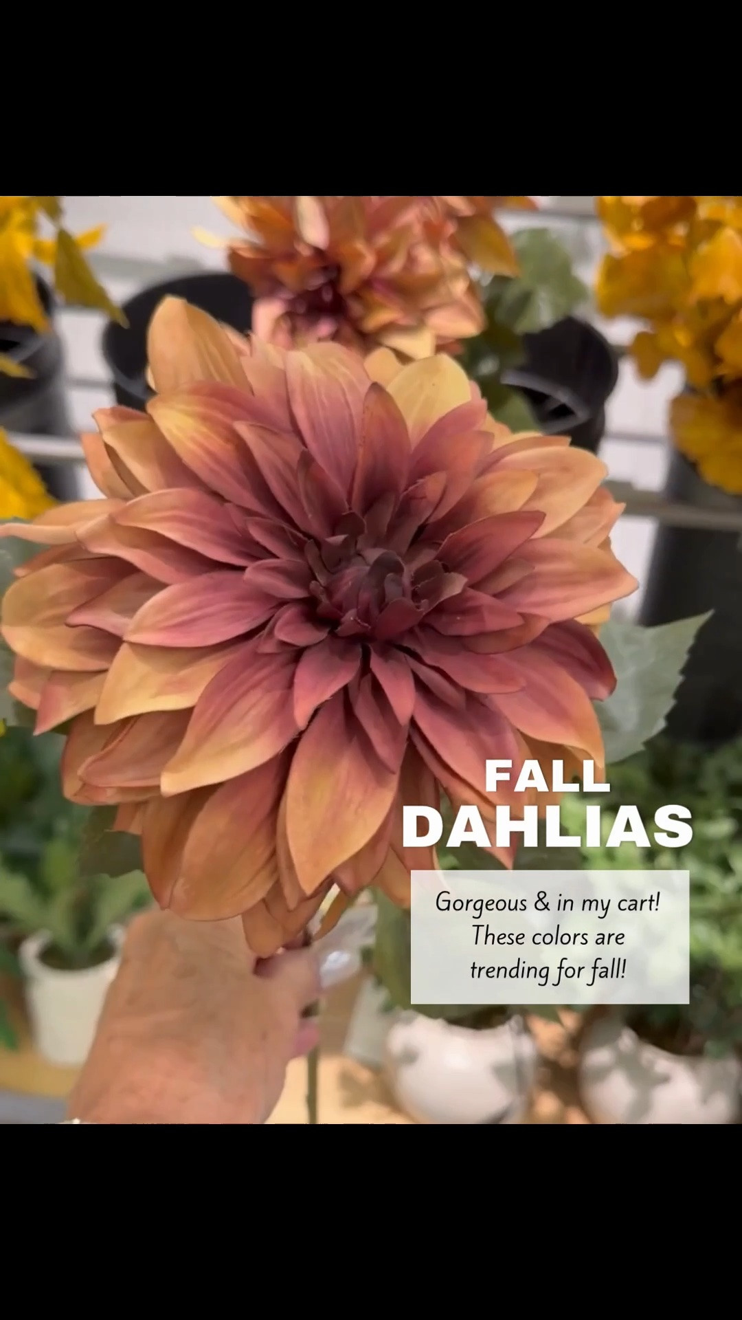 This is the prettiest floral stem for fall! These colors are trending for the season.

#LTKSeasonal #LTKHome #LTKvlog