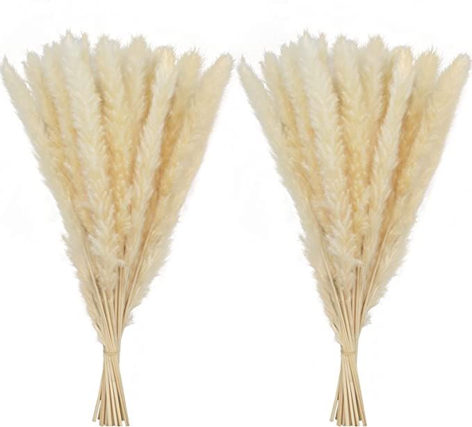 60 Pcs Dried Pampas Grass 18” ,Pompous Grass Pompass Branches for Vase Filler Flower Arrangemen... | Amazon (US)