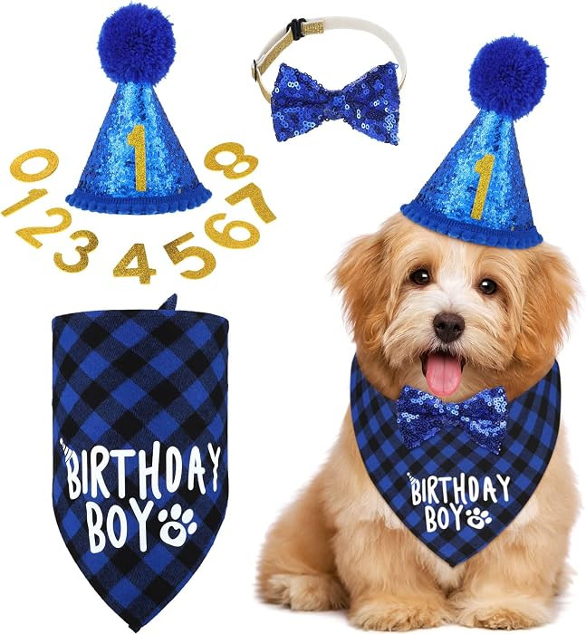 Weewooday Dog Birthday Party Supplies Birthday Boy Girl Cake Bandana Triangle Scarf Party Hat Dog... | Amazon (US)