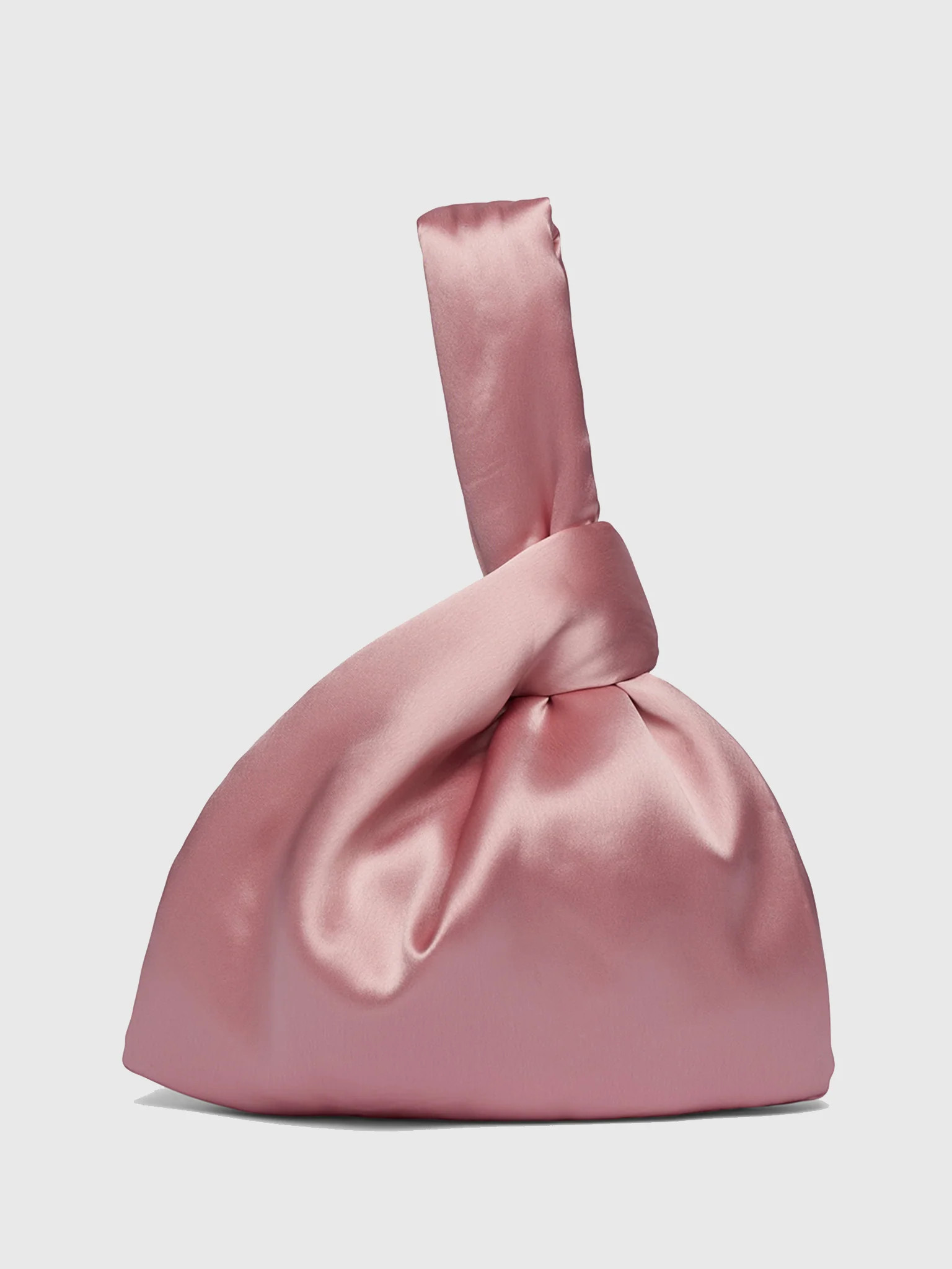 NANUSHKA
                      
                     Jen Satin Bag | Saint Bernard