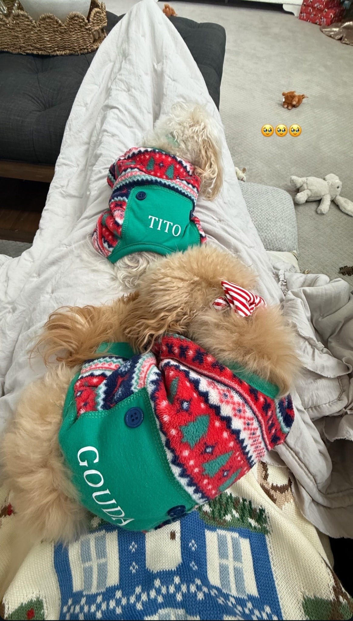 How cute are these personalized holiday dog sweaters?! 🥹🎄

#LTKFindsUnder50 #LTKdayinmylife #LTKHoliday