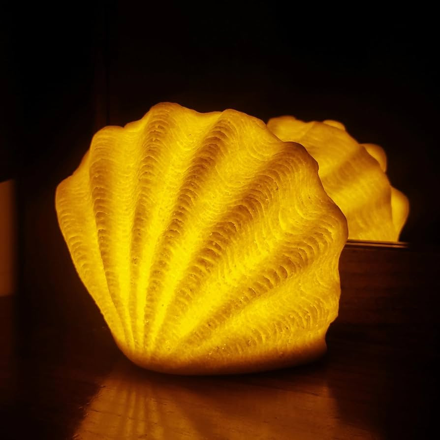 Ocean lamp,beach lamps,sea shell night light,lamps with shells,night lights,Battery LED light,Aut... | Amazon (US)