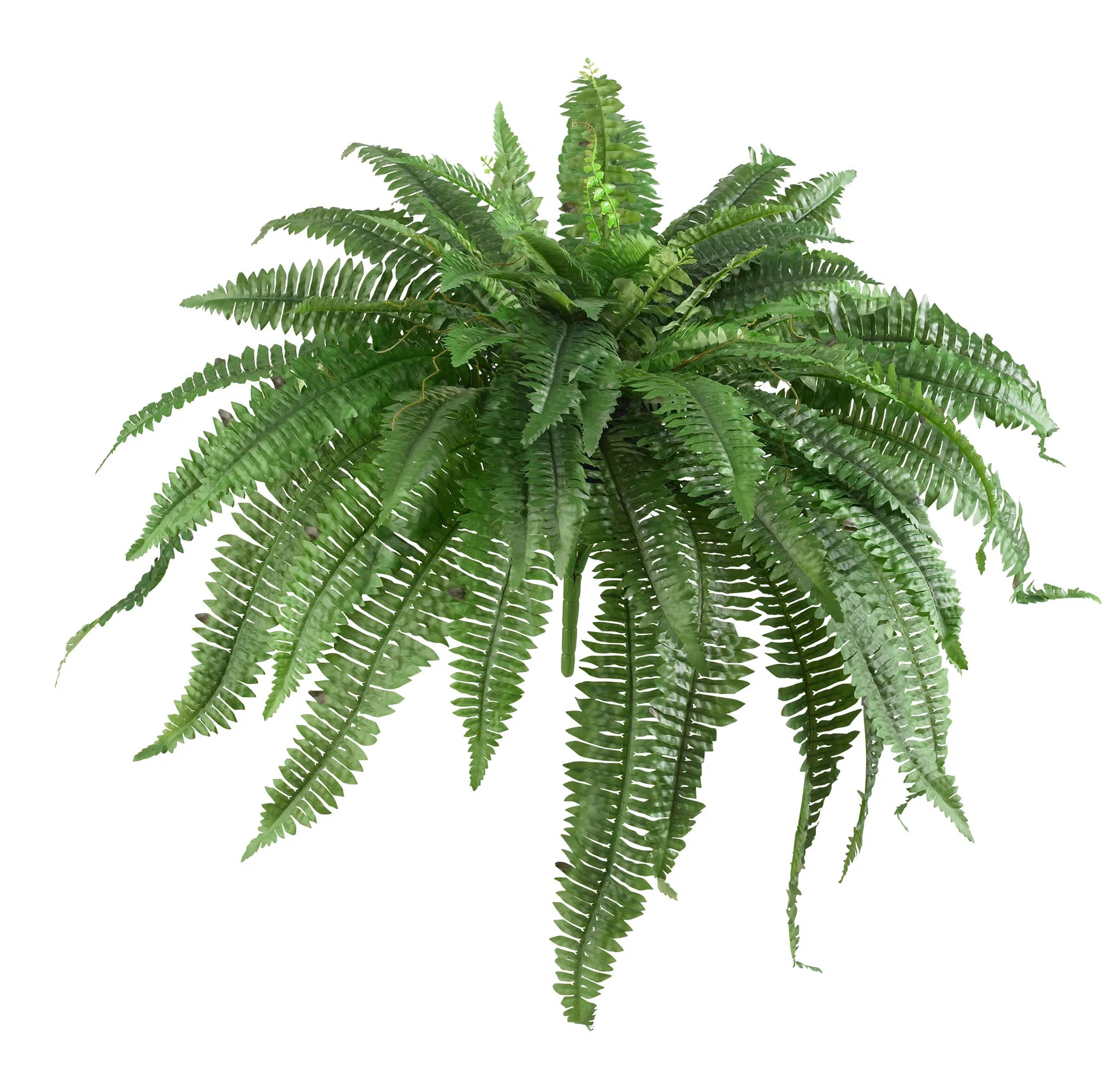 Faux Fern Plant (Set of 2) | Wayfair North America