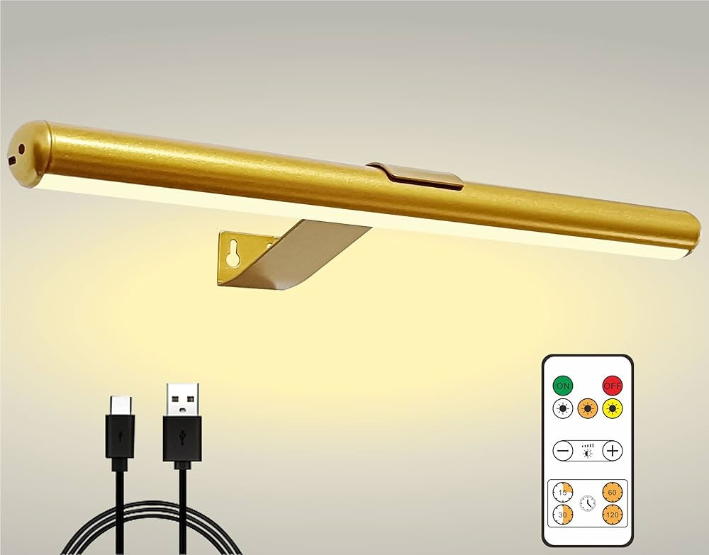 Arixinks Led Picture Light Painting Light 16'' with Remote Rechargeable, Full Metal Painting Ligh... | Amazon (US)