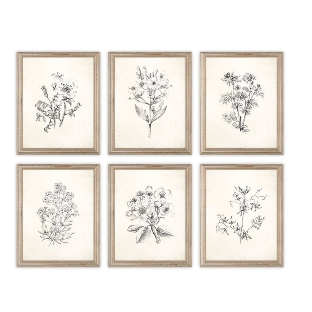 Vintage Botanical Flowers Sketch Prints. Set of Six Prints. - Etsy | Etsy (US)