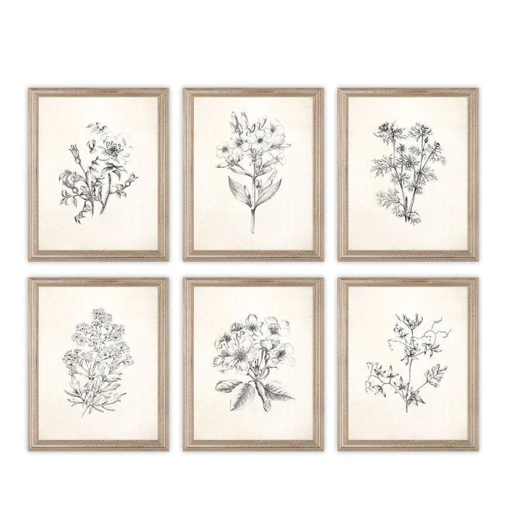 Vintage Botanical Flowers Sketch Prints. Set of Six Prints. - Etsy | Etsy (US)