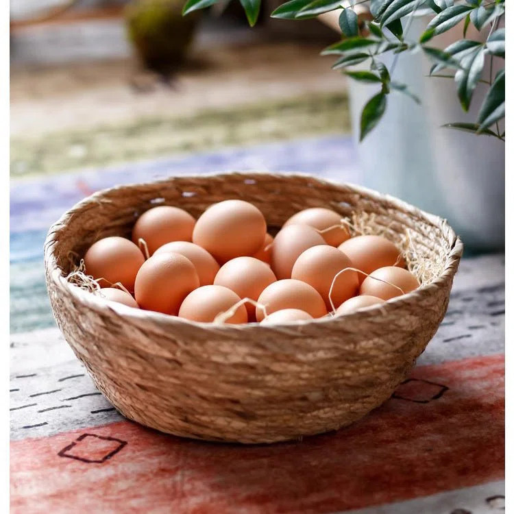 Seagrass Bowl Basket for Storage or Display | Wayfair North America