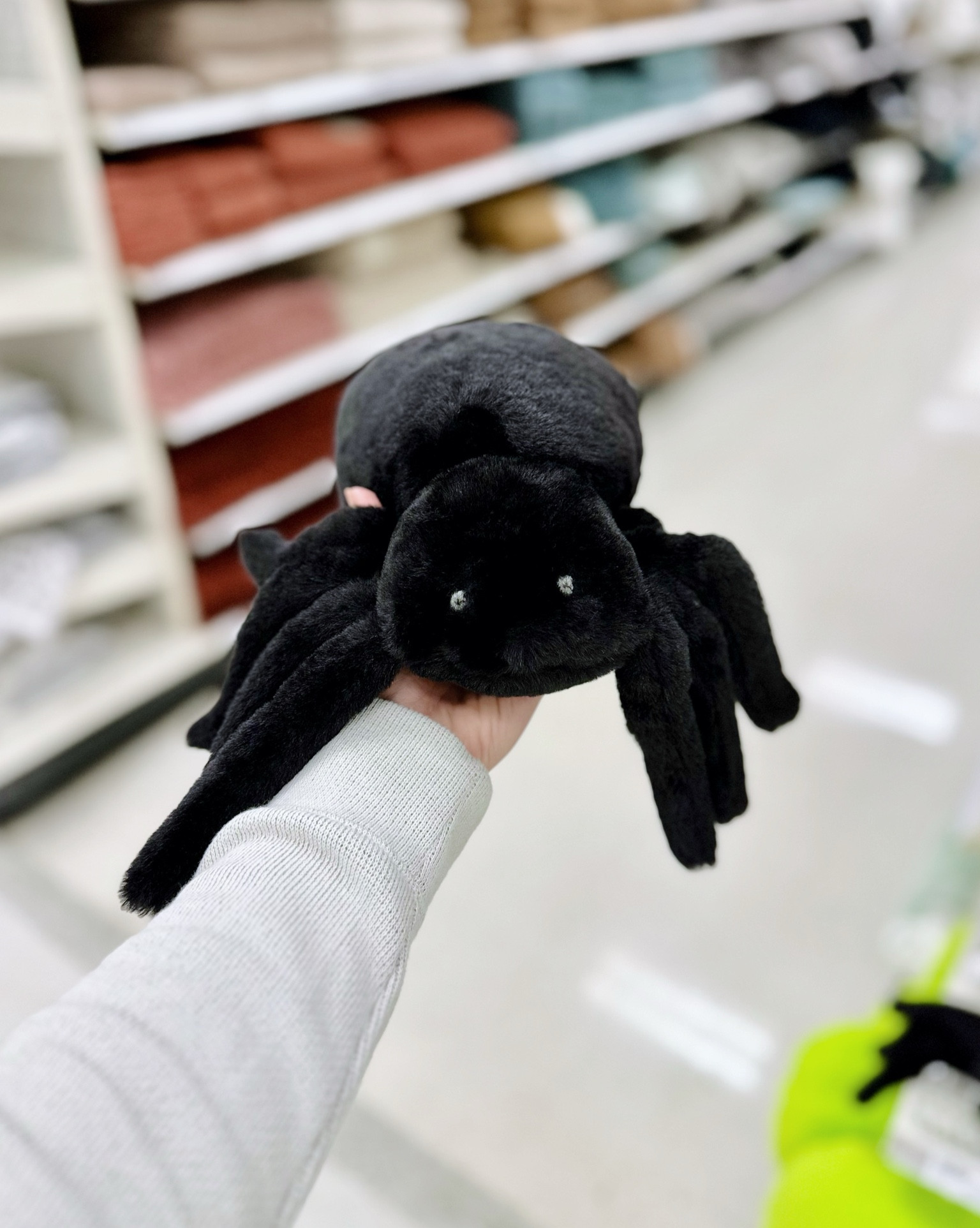 This cutie came home with me 🕷️

#LTKFamily #LTKHalloween #LTKHome