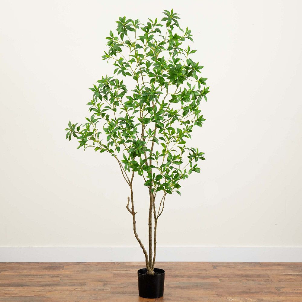 Faux Potted Minimalist Japanese Pieris Tree | West Elm (US)