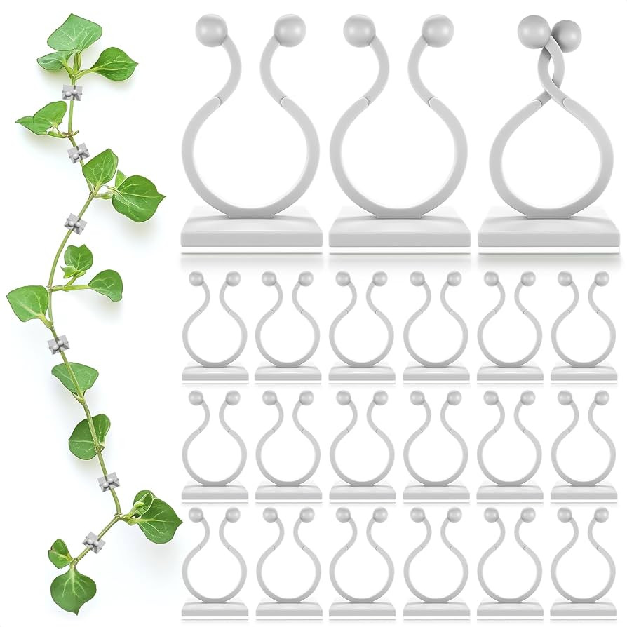 100Pcs Clear Plant Clips for Climbing Plants Indoor - White & Flexible Climbing Plant Wall Clips ... | Amazon (US)