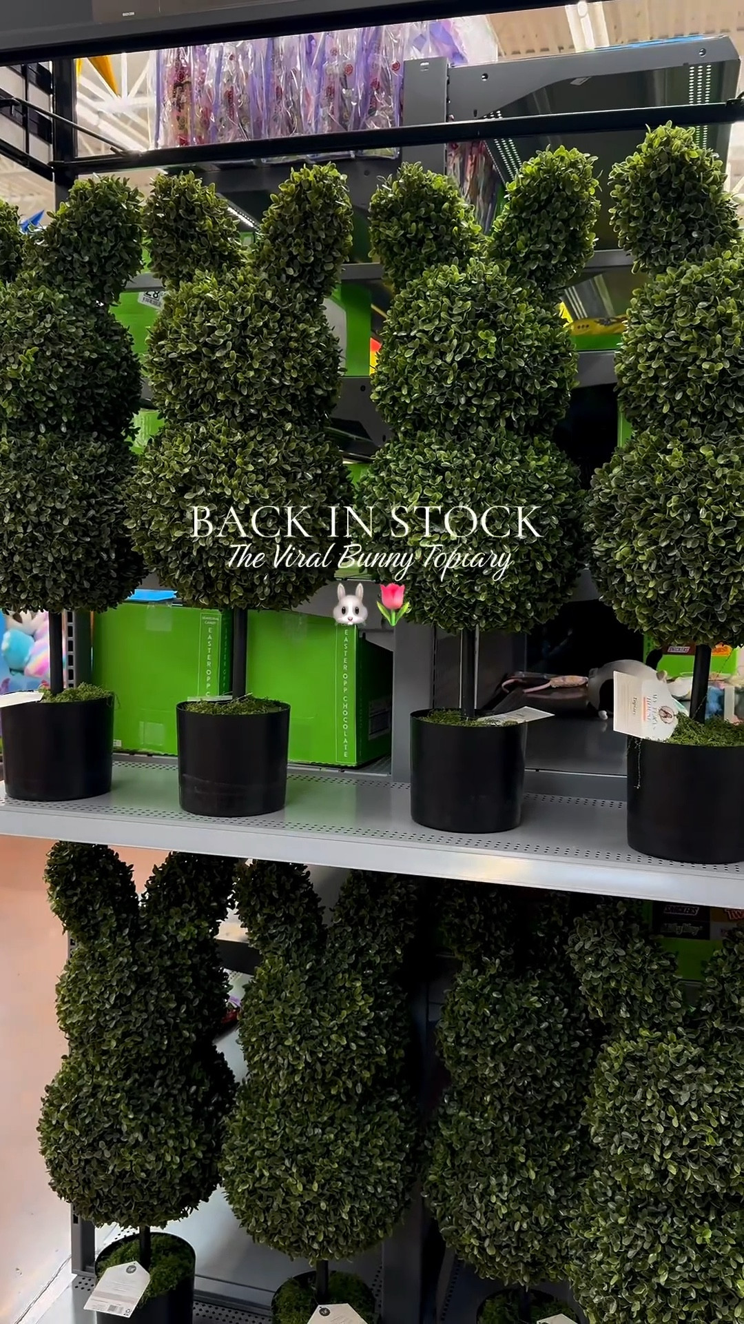 Bunny topiary 🐰🌸 

#LTKSeasonal #LTKSaleAlert #LTKHome