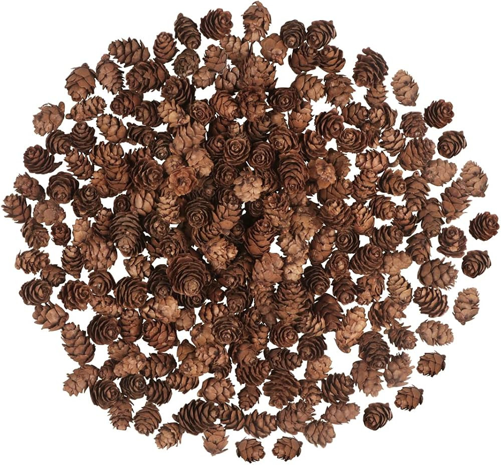 200PCS Christmas Natural Pine Cones Mini Fall Decorations Pinecones Ornaments Bulk Small Pine Con... | Amazon (US)