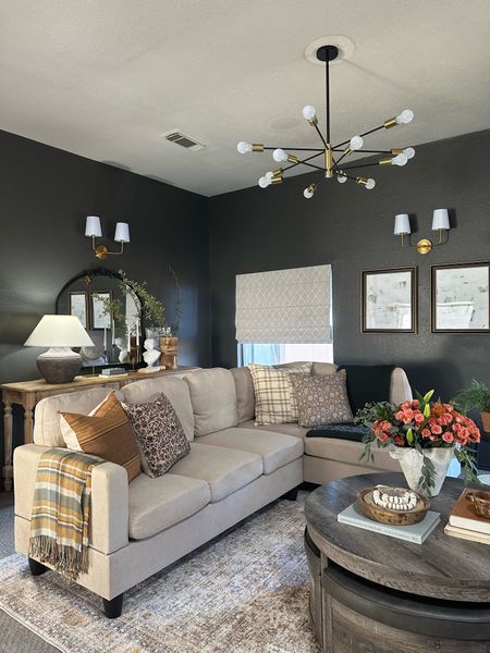 Budget friendly living room furniture and home decor finds 

#LTKhome #LTKunder100 #LTKFind