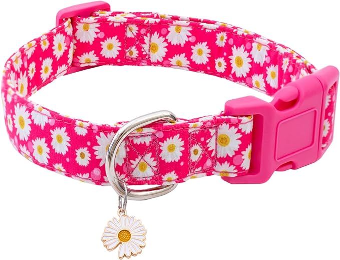 Faygarsle Cotton Dog Collar Cute Dog Collars for Small Medium Large Dogs Hot Pink Floral Colored ... | Amazon (US)