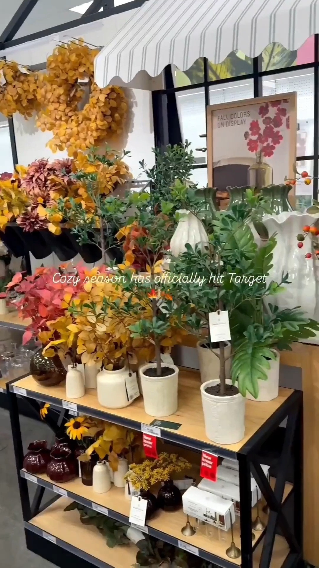 Fall has hit Target 🍁🍂 I’m loving all of the fall colors 😍 

Target, fall home decor, hosting, fall tablescape, Thanksgiving hosting, pumpkins, table setting

#LTKSeasonal #LTKHome #LTKvlog