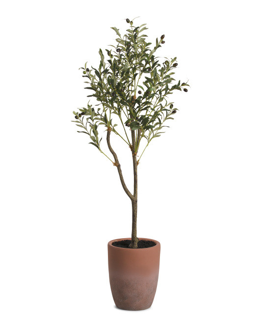 56in Olive Tree In Terracotta Pot | TJ Maxx