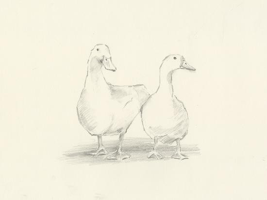 Quack Quack II | Art.com