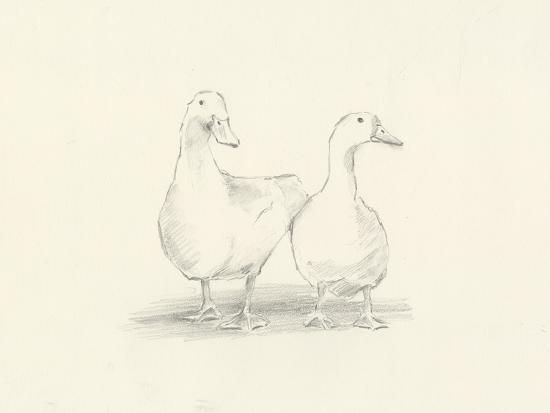 Quack Quack II | Art.com