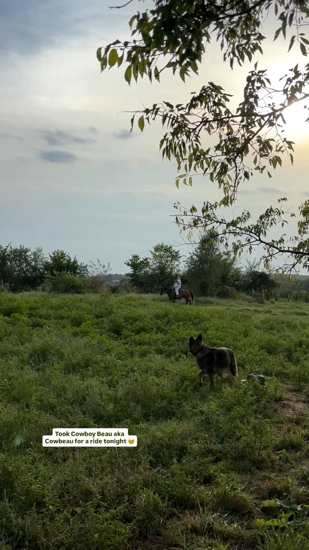 We trotted and Beau said THAT WAS AWESOME also second trimester so now we know sister will only be sleeping if we’re bouncing her like we’re riding 😂

#LTKmomlife #LTKdayinmylife #LTKKids