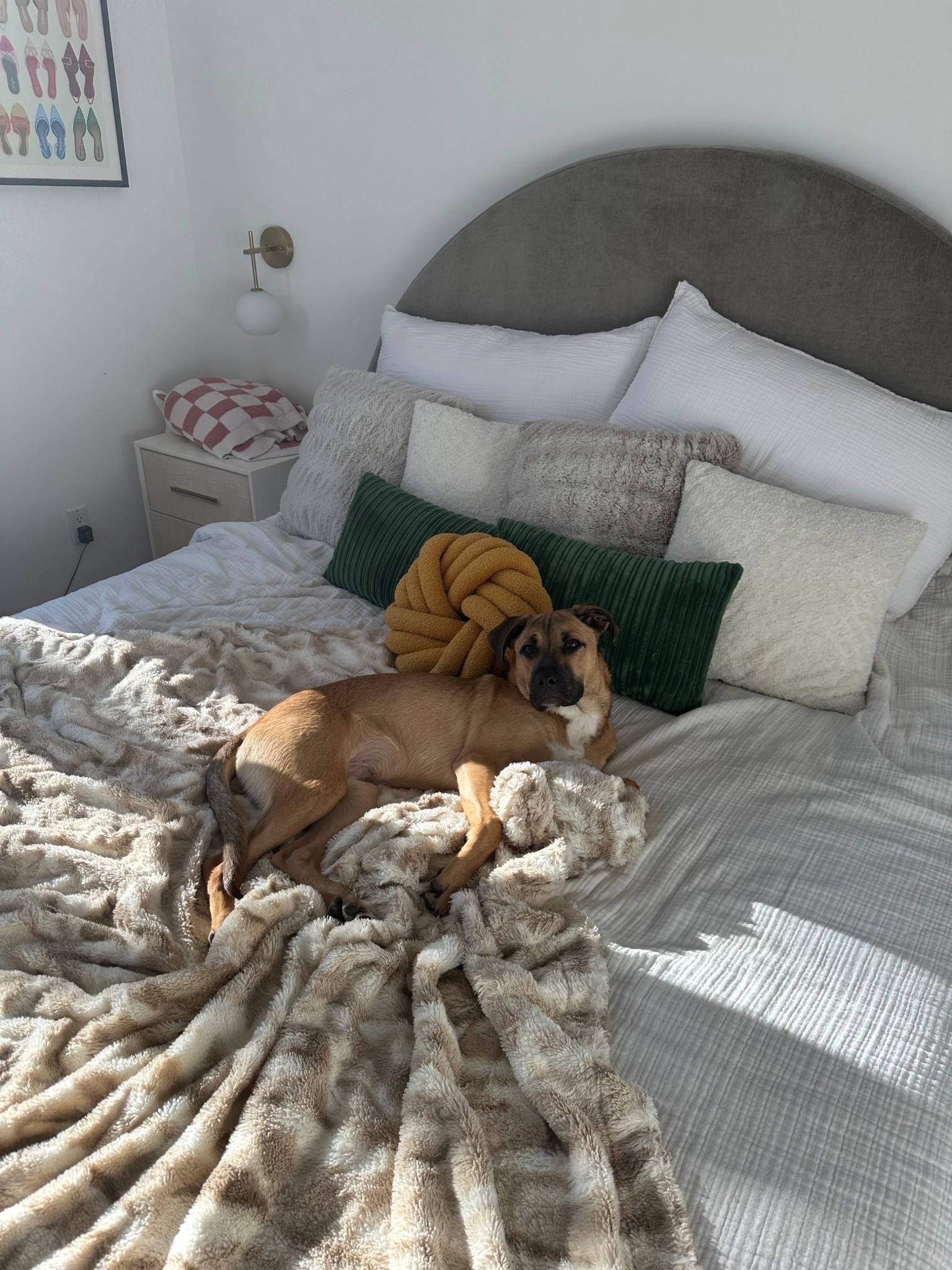 Everything from my bedroom!!! (Dog not included) 😂

#LTKSaleAlert #LTKHome