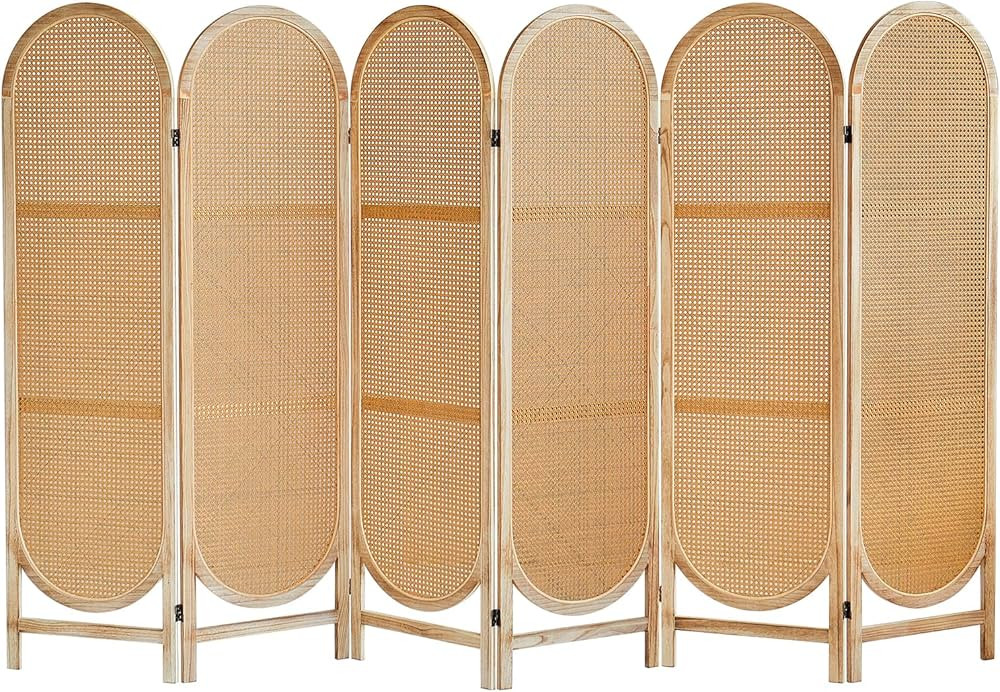 BMWEI 6 Panels Room Dividers, Foldable Wooden Room Dividers, Individual Privacy Screens Made of H... | Amazon (US)